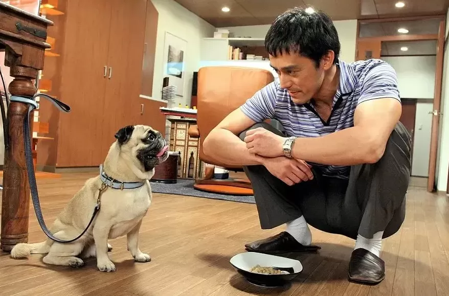 让压抑帝王变身毒舌傲娇男，真有点难为霍建华了-第3张图片-