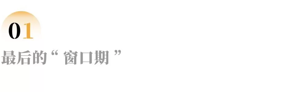 说服农村父母补缴社保，一场养老的家庭“战争”-第2张图片-