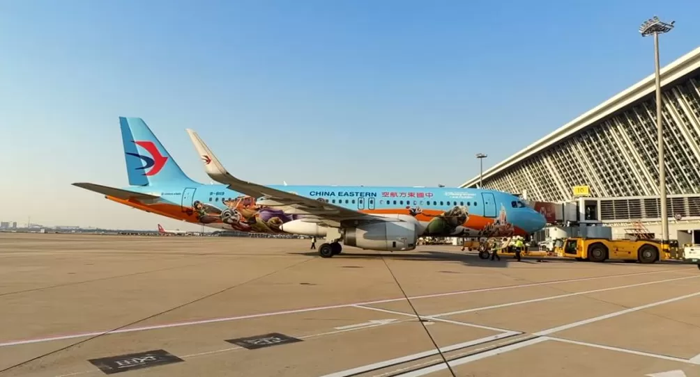 机场+航空+文旅，“疯狂动物城2”主题航班在浦东机场首飞-第1张图片-