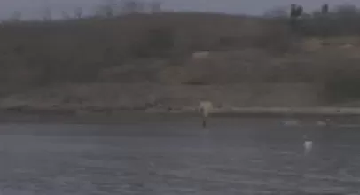 无人潜航器、磁探机器狗组团出击实训现场画面公布-第7张图片-