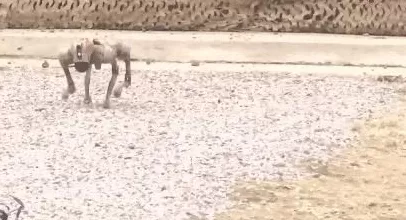 无人潜航器、磁探机器狗组团出击实训现场画面公布-第11张图片-