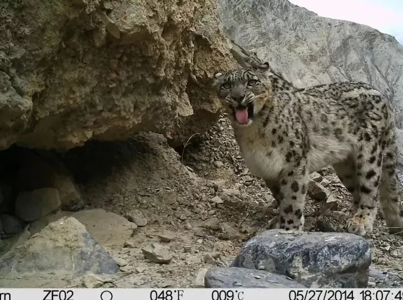 从华沙到贝伦，万科公益基金会推动中国气候行动走向世界舞台-第2张图片-