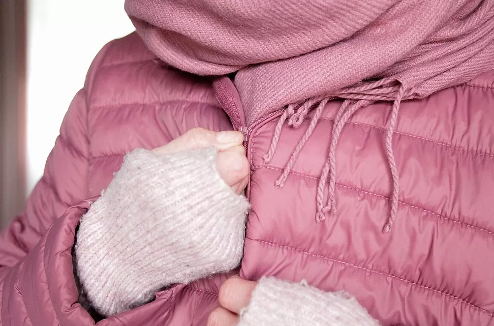 鸭绒价格涨至58万元/吨，国产羽绒服迈入“千元时代”-第1张图片-