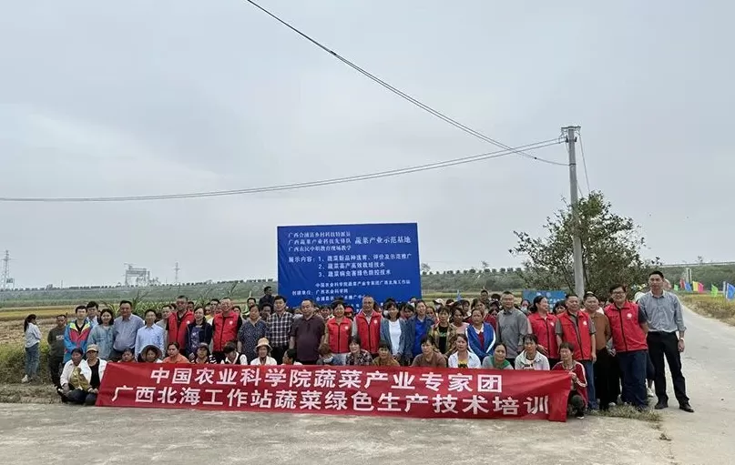 中国农科院专家团赴北海开展灾后蔬菜生产技术培训-第1张图片-