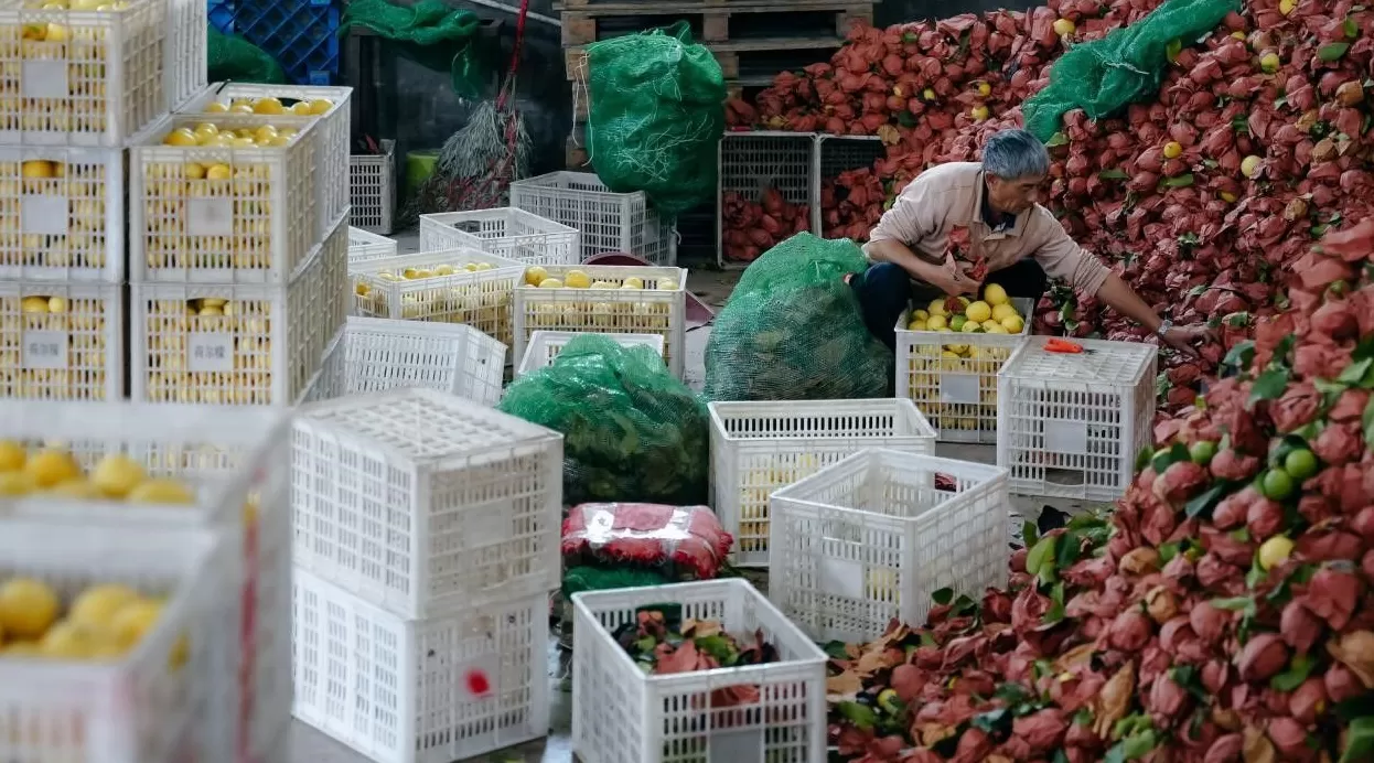 拼多多的下一个十年：“Costco+Disney”照进现实-第1张图片-