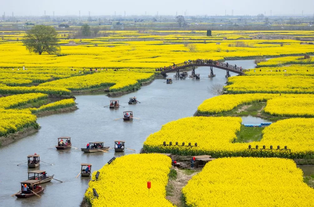 农文旅融合，看“苏中水乡”兴化如何“花开四季”-第1张图片-