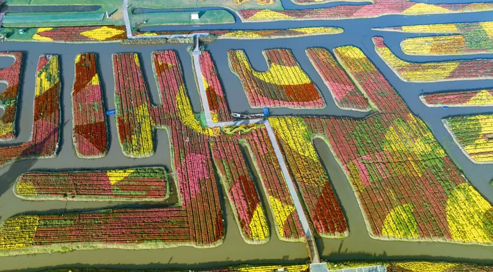 农文旅融合，看“苏中水乡”兴化如何“花开四季”-第2张图片-