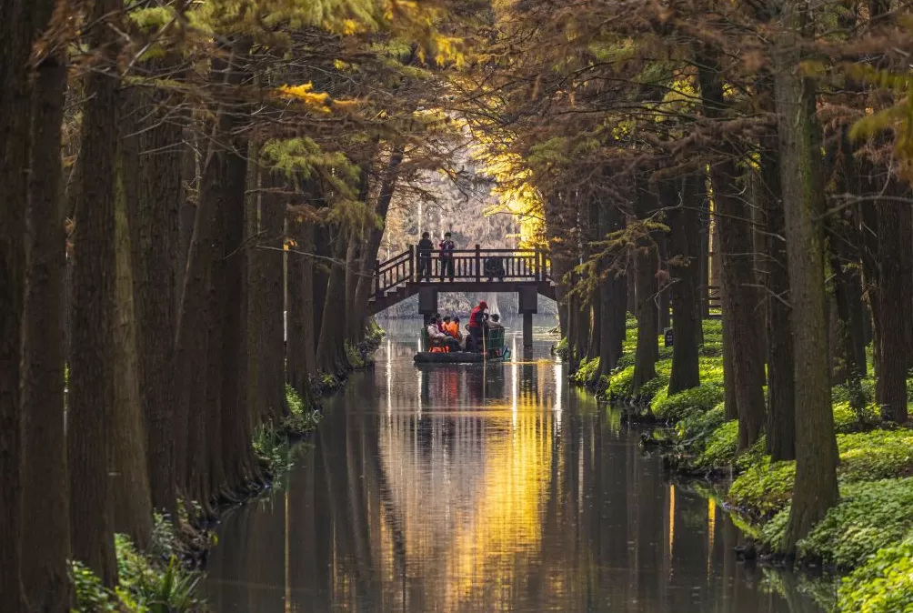 农文旅融合，看“苏中水乡”兴化如何“花开四季”-第5张图片-
