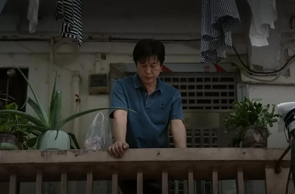 辛芷蕾+舒淇，也救不了文艺片-第3张图片-