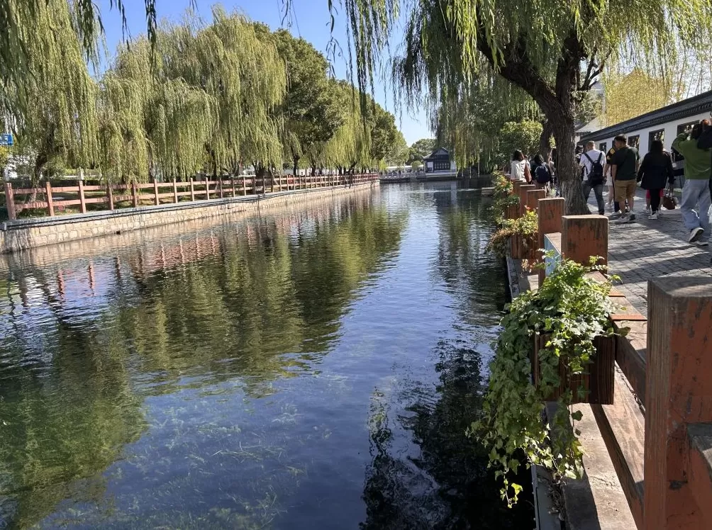 朱家角古镇现“果冻河”：破解“水乡无水清”，争创5A成关键契机-第2张图片-