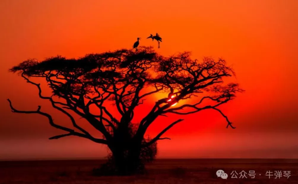 中国人做事，越来越不简单-第8张图片-