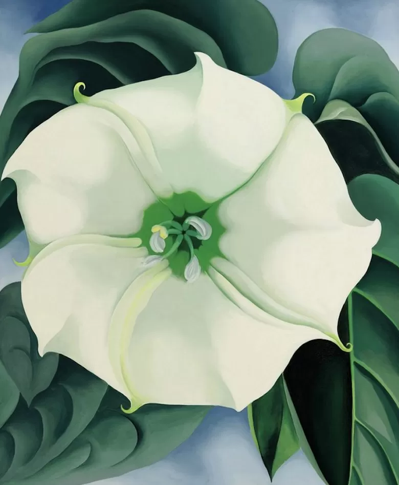 弗里达的这幅画成为史上最贵的女艺术家作品-第2张图片- 弗里达的这幅画成为史上最贵的女艺术家作品-第2张图片-