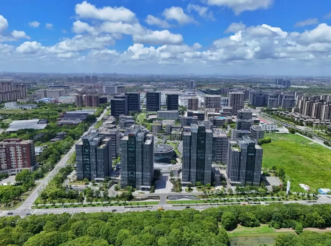 规上工业年均增速9.9%，奉贤如何打造“南上海重要增长极”？-第2张图片-