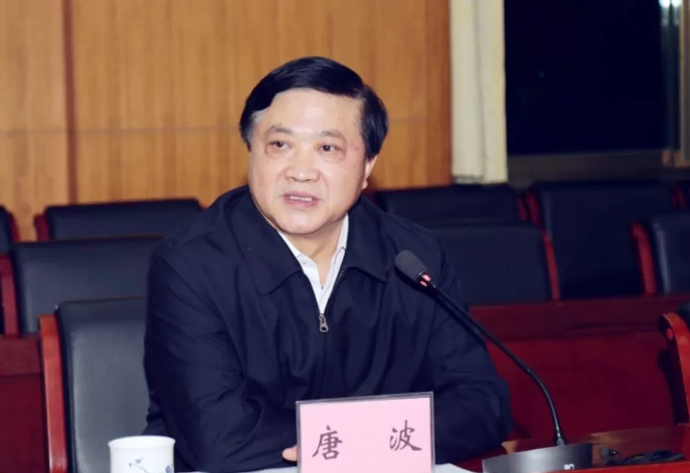 山东师大原校长、山东省科技厅原厅长唐波当选中科院院士-第1张图片-