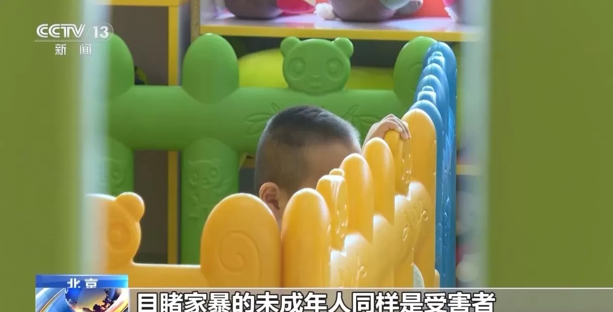 精神暴力为何也算家暴？法官以案释法-第5张图片-