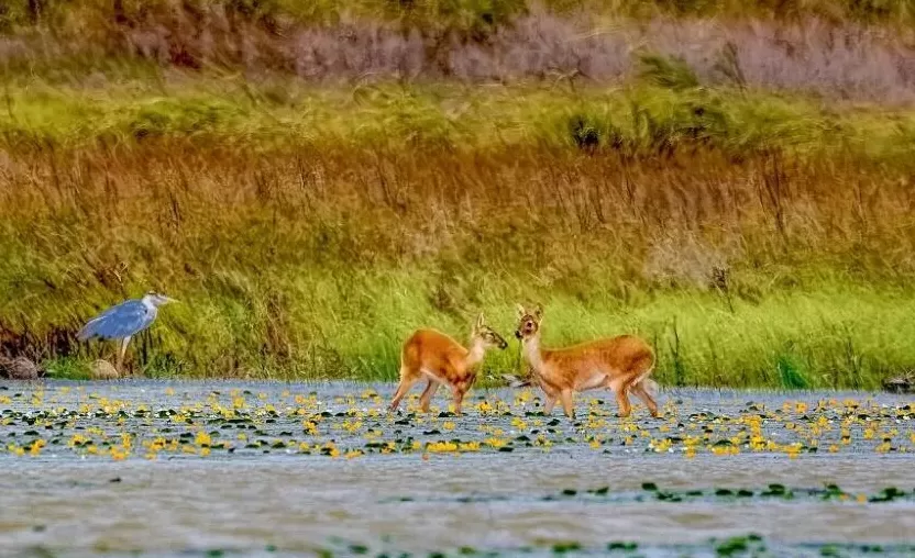 为什么是江西？-第4张图片-