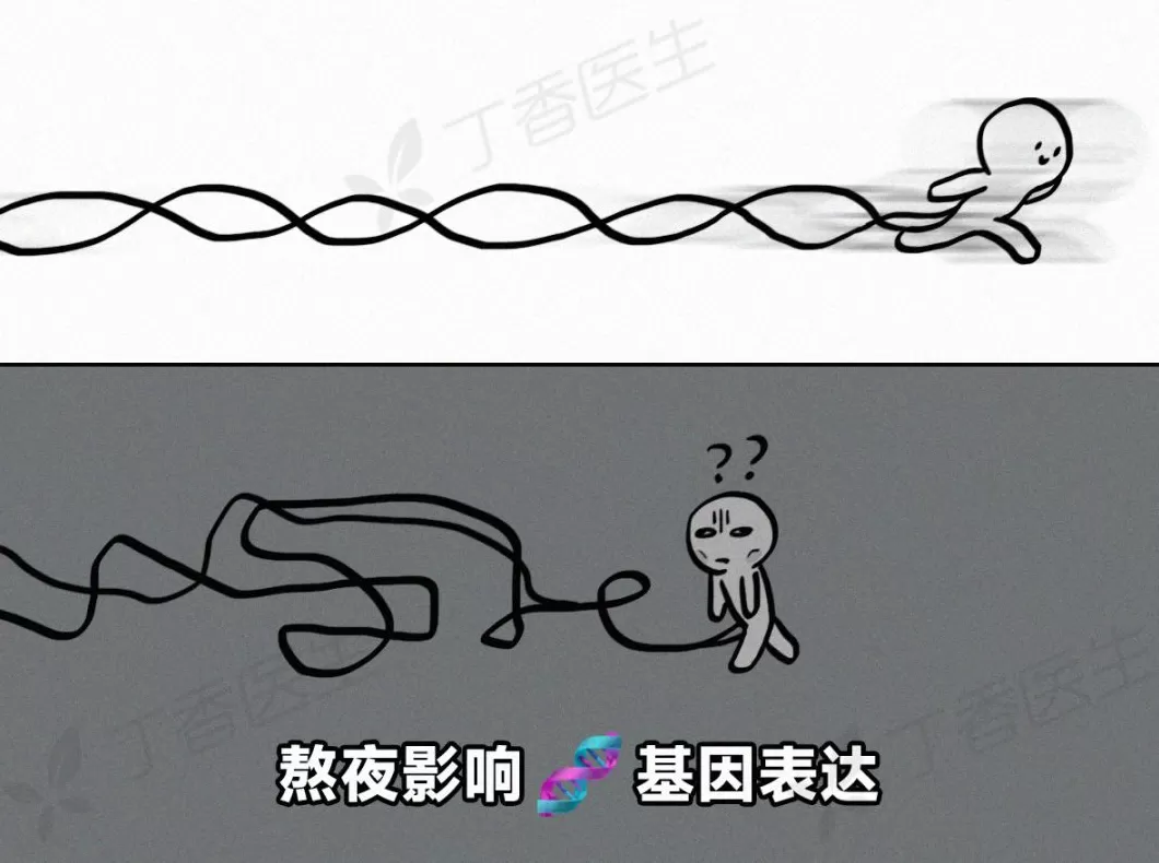 最新研究：熬大夜，又多了这些不可逆的代价-第10张图片-