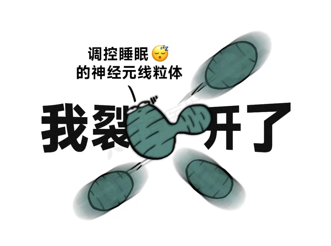 最新研究：熬大夜，又多了这些不可逆的代价-第13张图片-