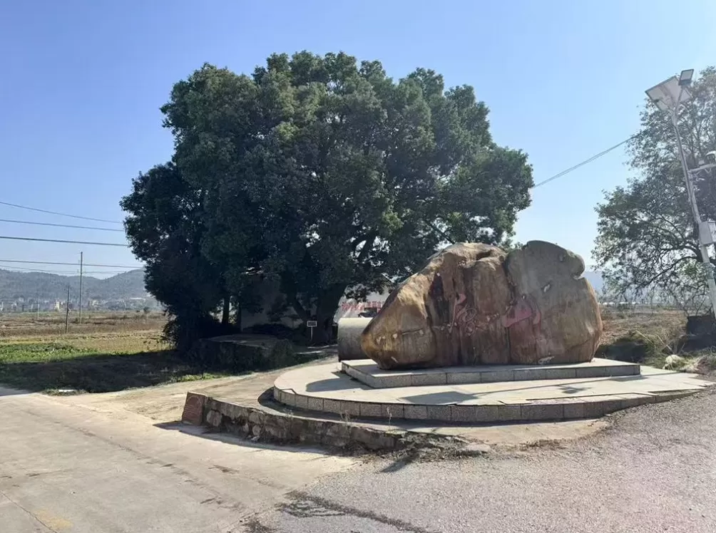 影子调查｜“博导”郭伟的双面人生：江西小镇高中毕业，村里不确定其是否上过大学-第1张图片-