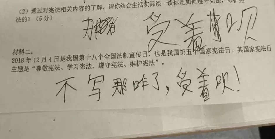 黄腔烂梗，正在毁掉中小学生-第8张图片-