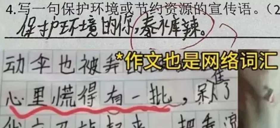黄腔烂梗，正在毁掉中小学生-第10张图片-