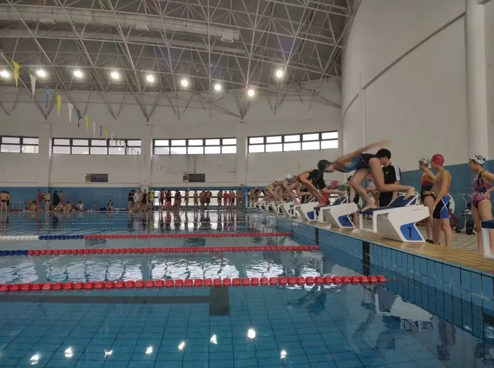 深一度｜打响翻身仗！上海泳军靠什么破局突围-第3张图片-