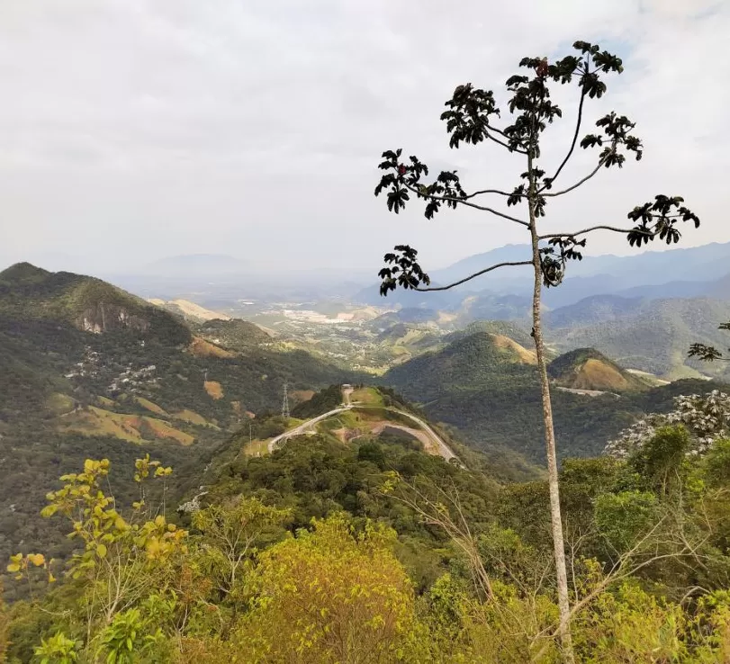 包茂红｜巴西历史上的出口繁荣与资源诅咒-第3张图片-