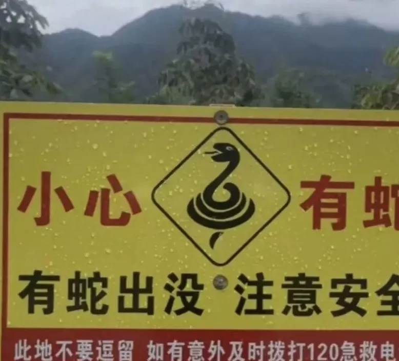 没有功德，只剩缺德-第1张图片-