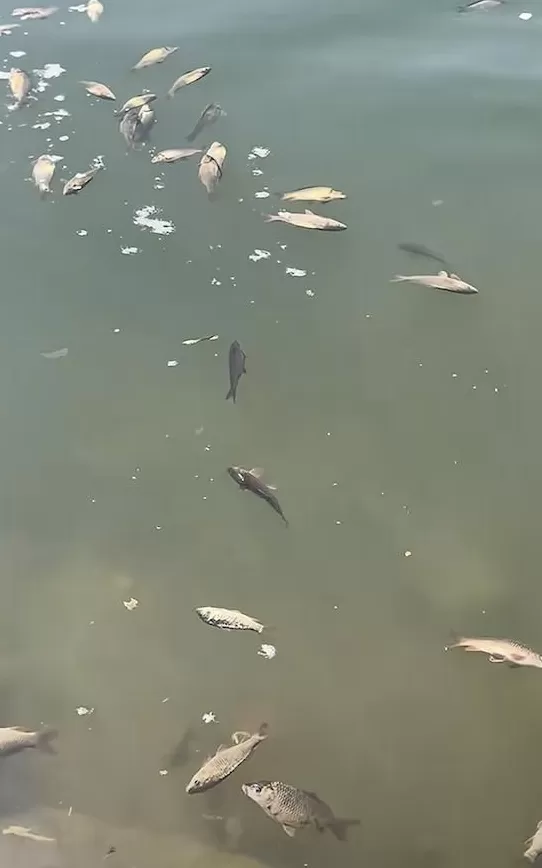 没有功德，只剩缺德-第6张图片-