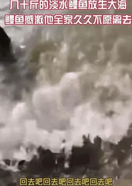 没有功德，只剩缺德-第8张图片-