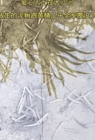 没有功德，只剩缺德-第7张图片-