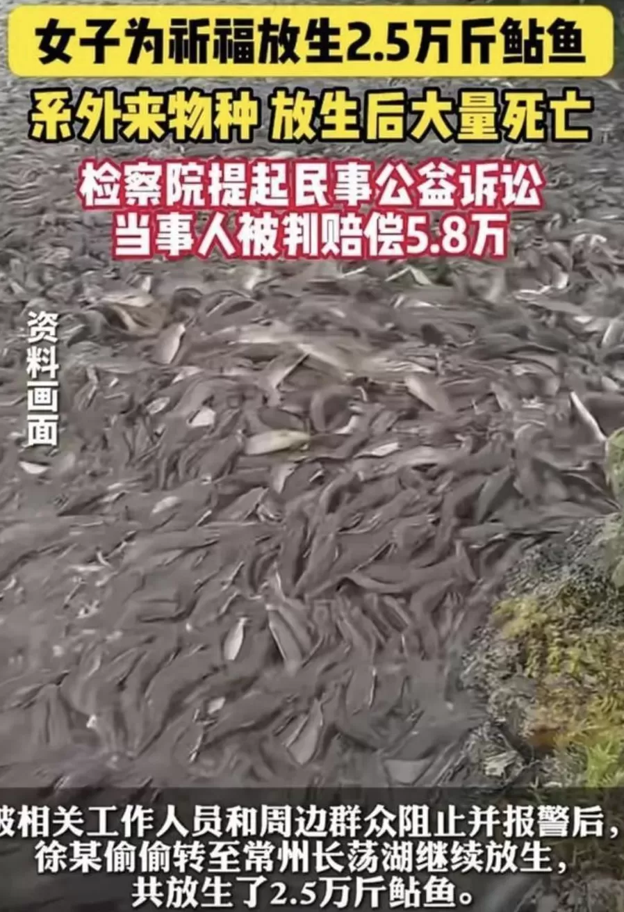 没有功德，只剩缺德-第12张图片-