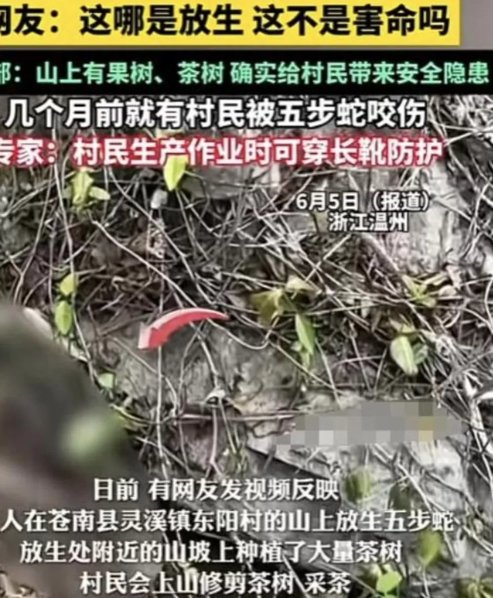 没有功德，只剩缺德-第10张图片-