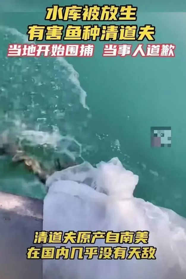 没有功德，只剩缺德-第14张图片-