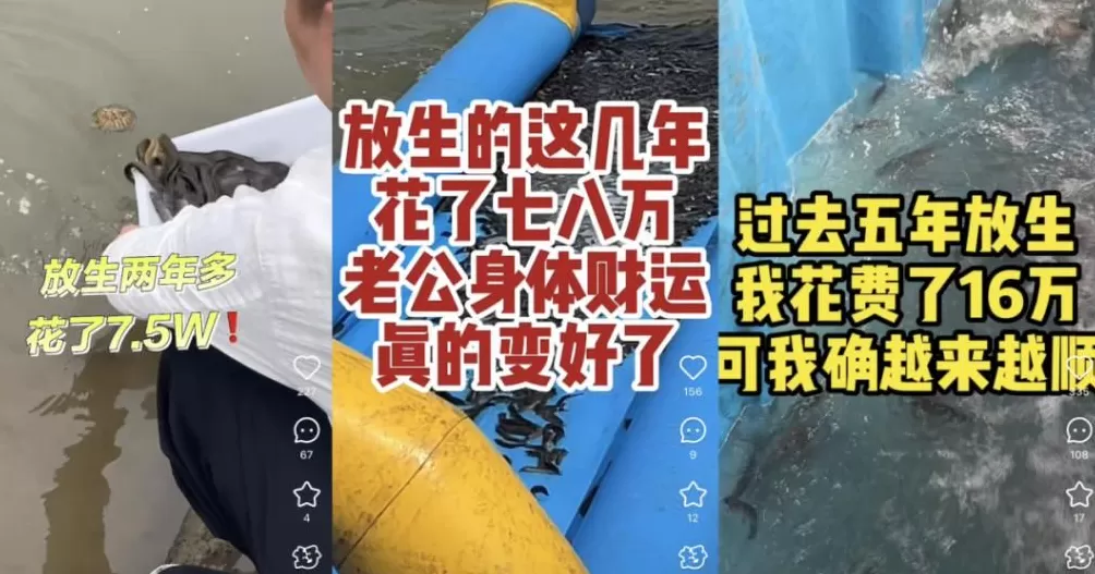 没有功德，只剩缺德-第16张图片-