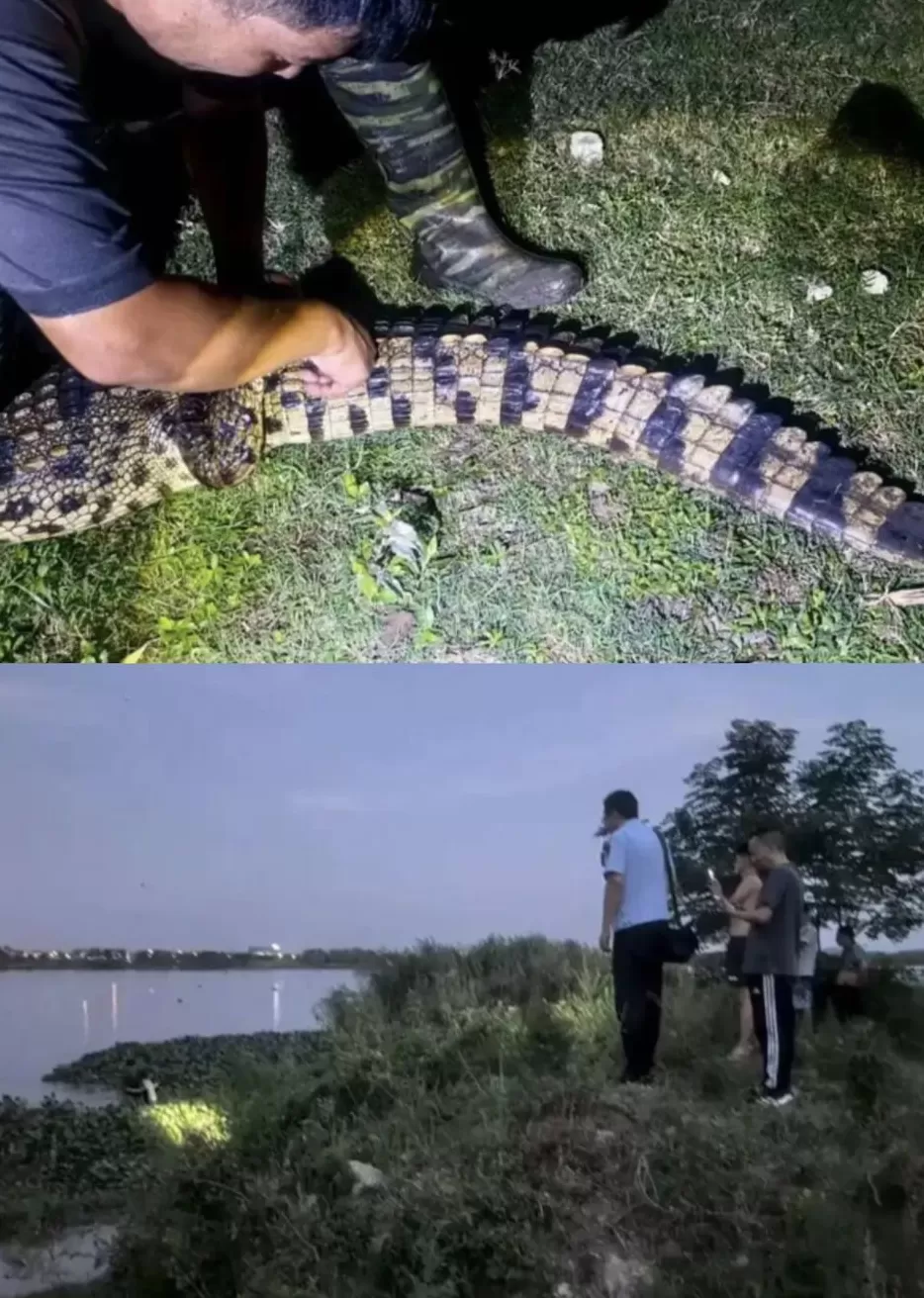 没有功德，只剩缺德-第17张图片-