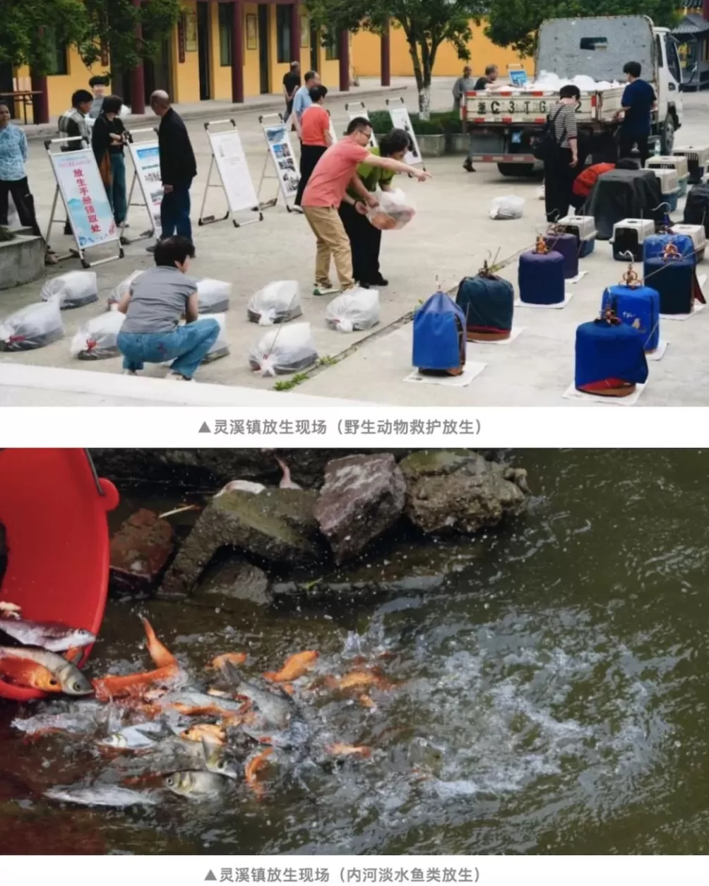 没有功德，只剩缺德-第21张图片-