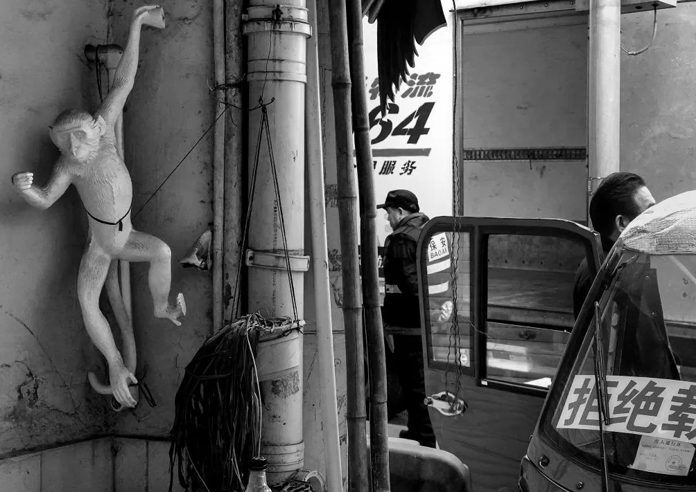 看展览｜百年顺昌路的烟火气，黄唯个展在菜肉馄饨会客厅开幕-第9张图片-