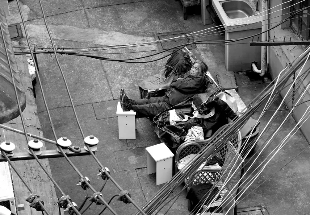 看展览｜百年顺昌路的烟火气，黄唯个展在菜肉馄饨会客厅开幕-第12张图片-