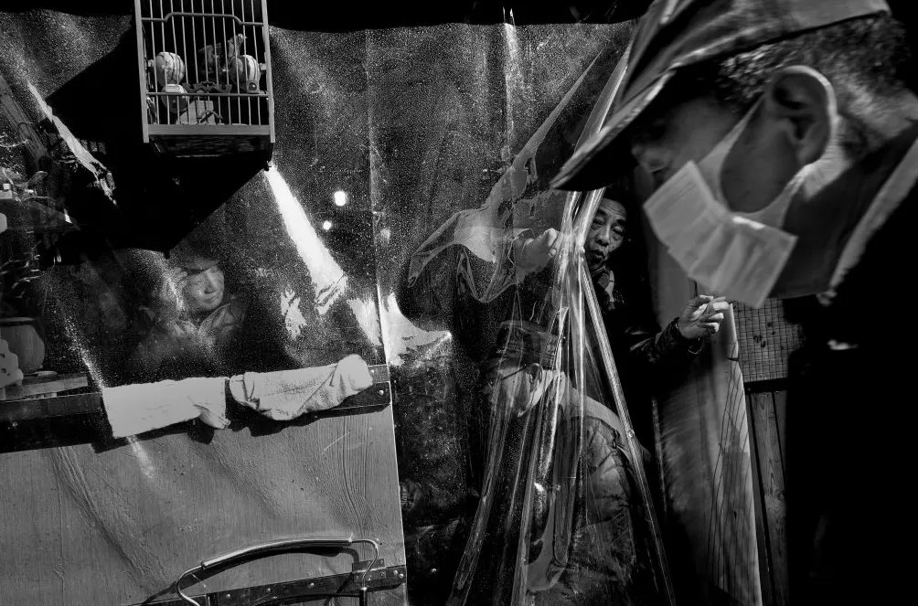 看展览｜百年顺昌路的烟火气，黄唯个展在菜肉馄饨会客厅开幕-第14张图片-