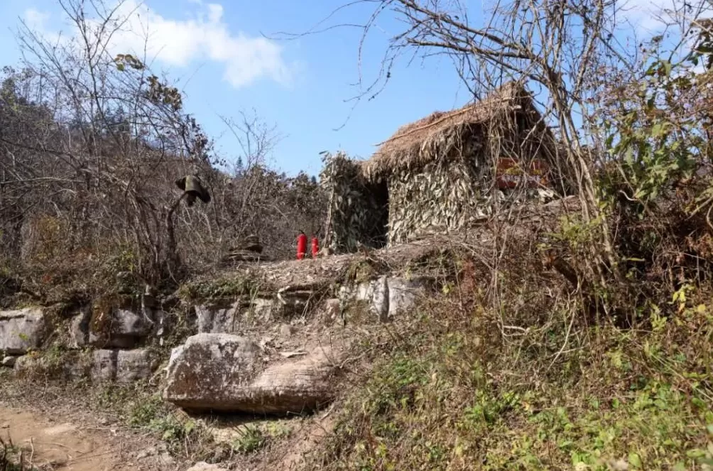 张家界荒野求生,一群想过得好一点的人-第3张图片- 张家界荒野求生,一群想过得好一点的人-第3张图片-