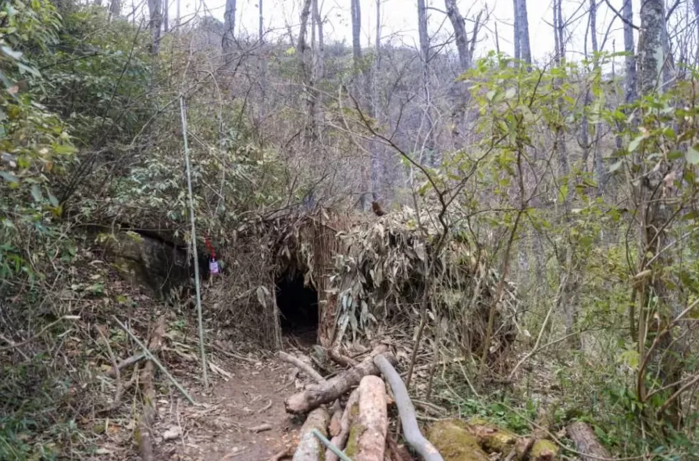 张家界荒野求生,一群想过得好一点的人-第6张图片- 张家界荒野求生,一群想过得好一点的人-第6张图片-