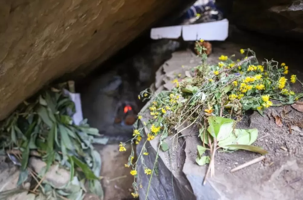 张家界荒野求生,一群想过得好一点的人-第9张图片- 张家界荒野求生,一群想过得好一点的人-第9张图片-