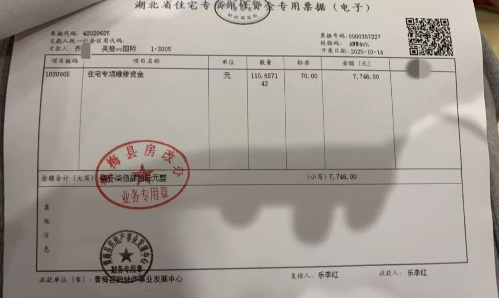影子调查｜85套法拍房办证难背后：部分购房者先遇烂尾，筹款自救后又遭法拍-第5张图片-