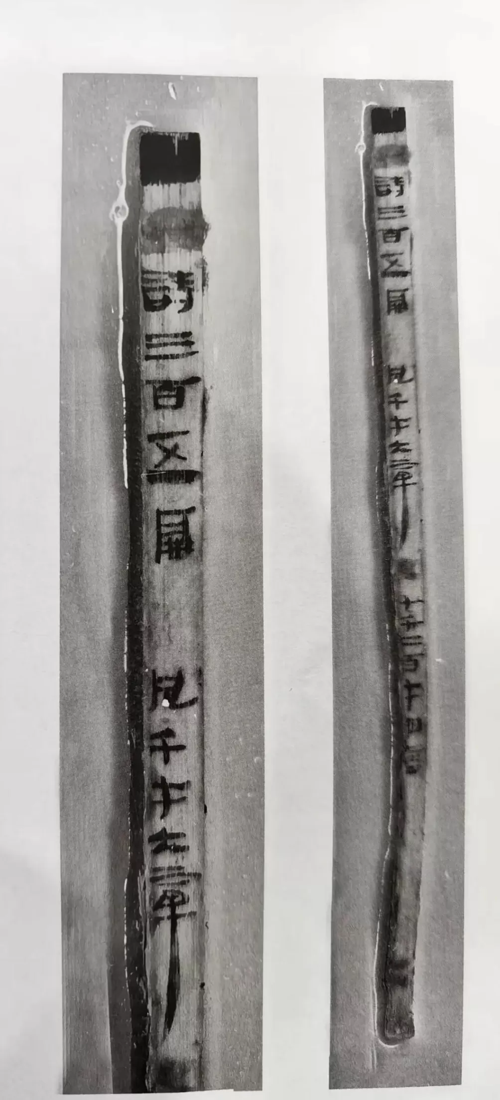 复旦研究员蒋文解读海昏简《诗经》-第1张图片-