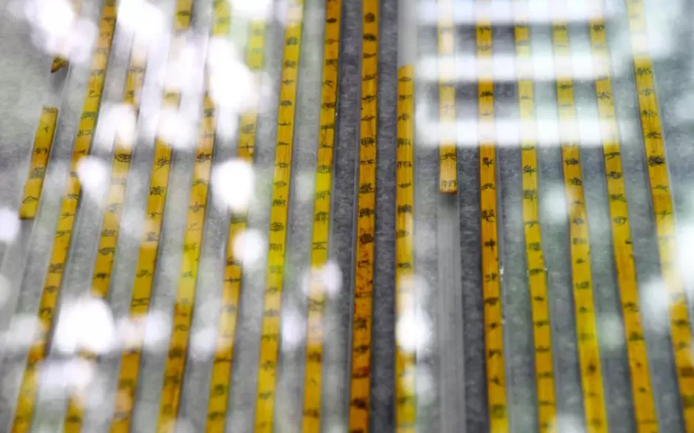 复旦研究员蒋文解读海昏简《诗经》-第3张图片-