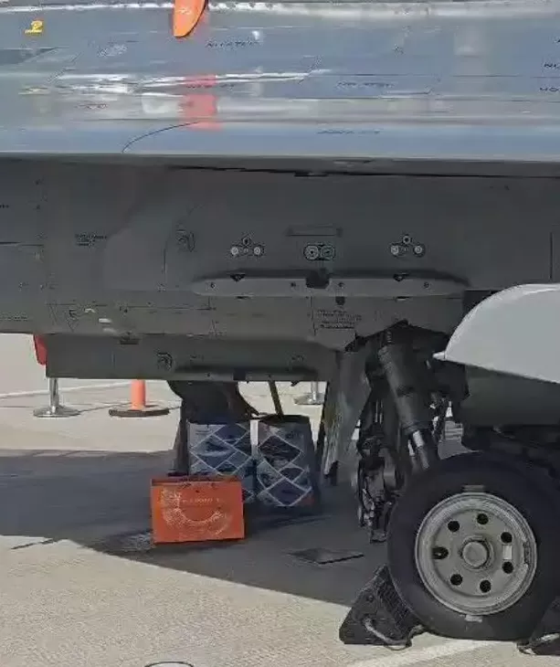 “光辉”的坠落：“漏油”插曲后当众机毁人亡，印度出口雄心遭重挫-第2张图片-