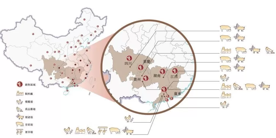 “鸡王”养猪，年入32亿-第2张图片-