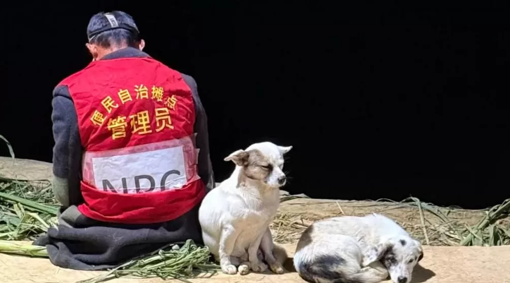 从“偷菜”到“偷甘蔗”，为什么我们总爱这种游戏？-第3张图片-