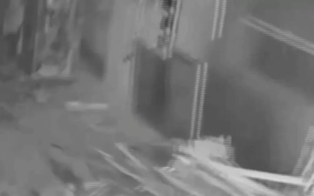 男子盗走300万黄金，被抓后拒不吐露藏匿地点，警方凭狗叫声找到线索-第1张图片-